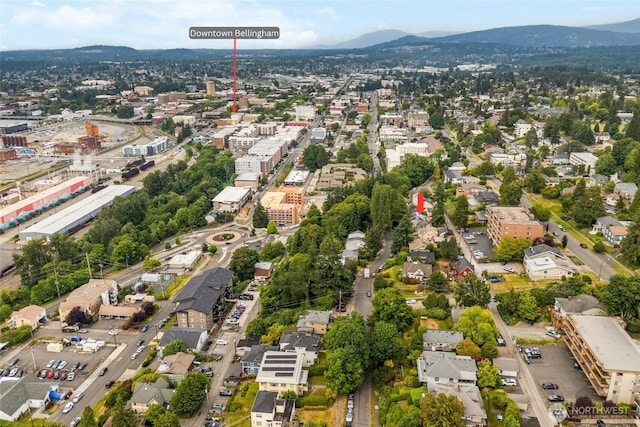 720 N Forest St, Bellingham, WA 98225 - aerial overview of property's location with a mountain backdrop