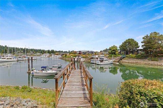 880 Shoshone Dr, La Conner, WA 98257 - photo 32