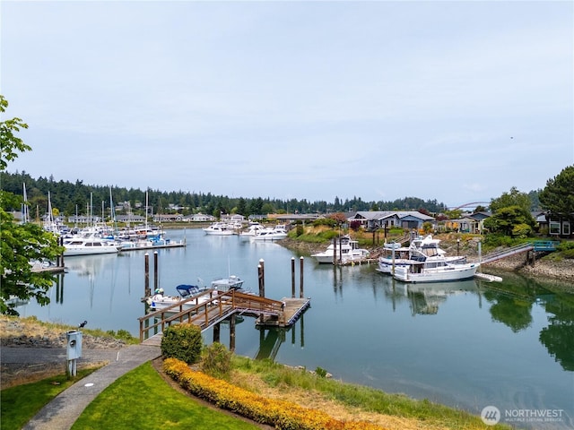 880 Shoshone Dr, La Conner, WA 98257 - photo 38