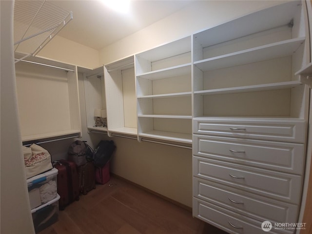 8542 Bainbridge Loop NE, Lacey, WA 98516 - walk in closet featuring dark wood finished floors