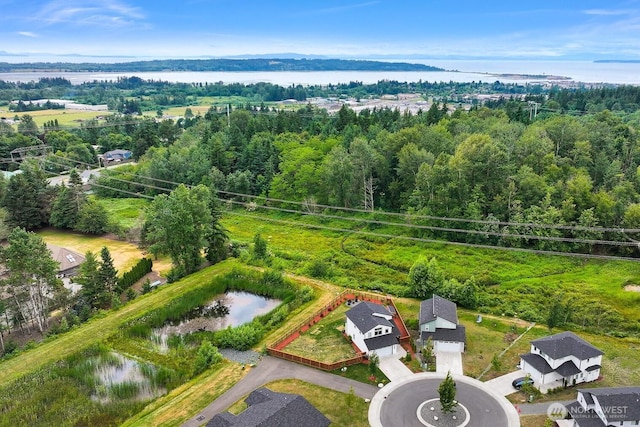 2649 Sandwood Ln, Blaine, WA 98230 - bird's eye view of a large body of water