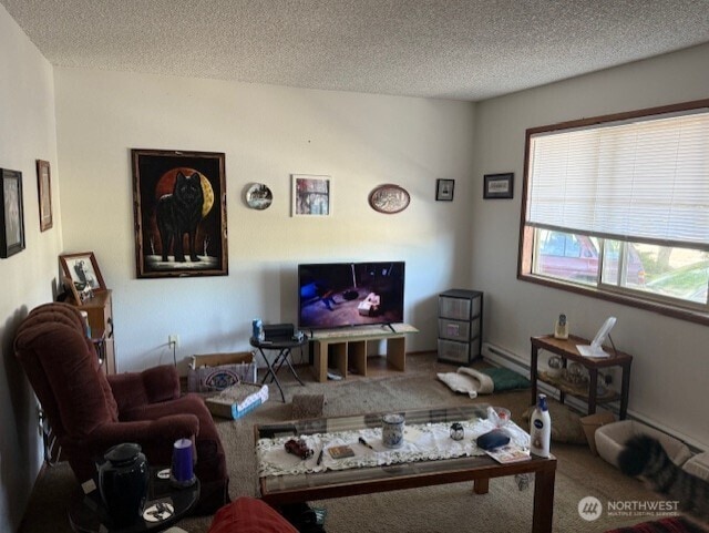 200 8th St, Lynden, WA 98264 - photo 18