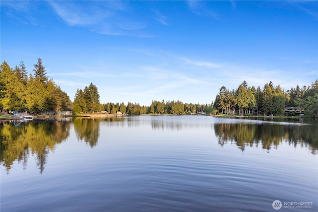 31707 W Lake Ketchum Rd, Stanwood, WA 98292 - water view with a forest