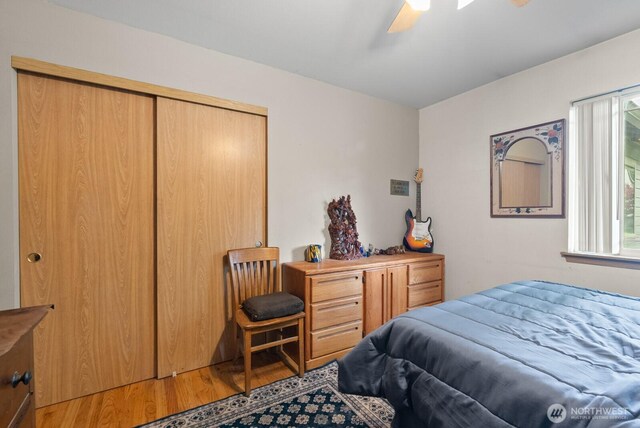 4707 235th St E, Spanaway, WA 98387 - photo 23