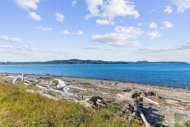 4448 S Shore Dr, Anacortes, WA 98221 - water view