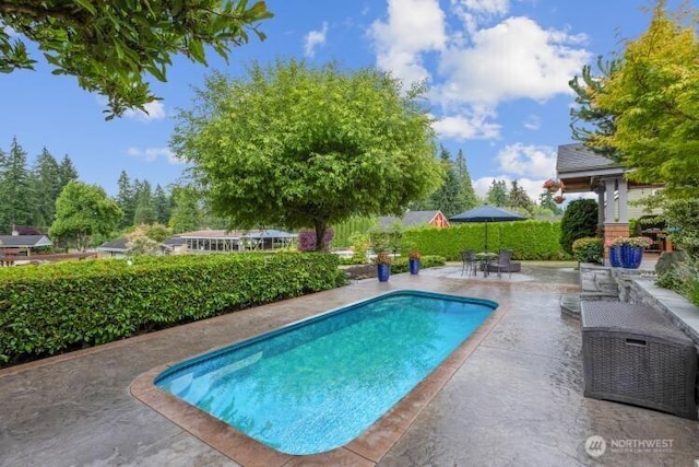 16704 162nd Ave NE, Woodinville, WA 98072 - photo 6