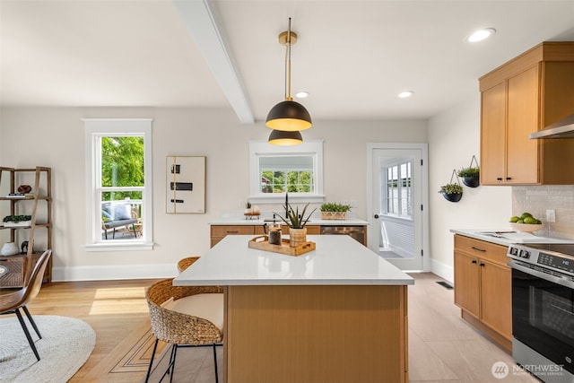 8251 Densmore Ave N, Seattle, WA 98103 - kitchen featuring stainless steel appliances, healthy amount of natural light, light countertops, recessed lighting, and hanging light fixtures