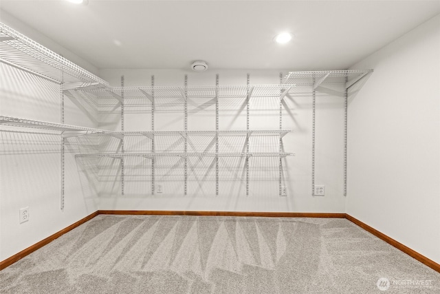 8251 Densmore Ave N, Seattle, WA 98103 - walk in closet featuring carpet