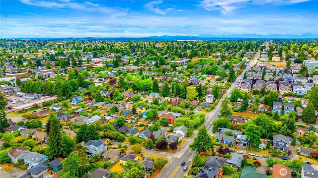 8251 Densmore Ave N, Seattle, WA 98103 - aerial view of residential area featuring a mountain backdrop