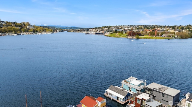 2301 Fairview Ave E Unit 301, Seattle, WA 98102 - water view
