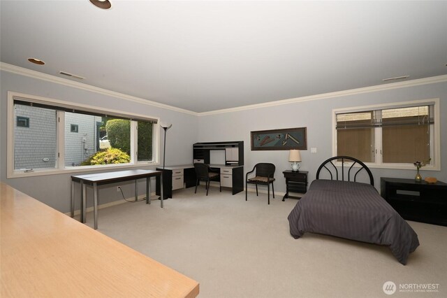 8508 54th Ave NE, Seattle, WA 98115 - photo 22