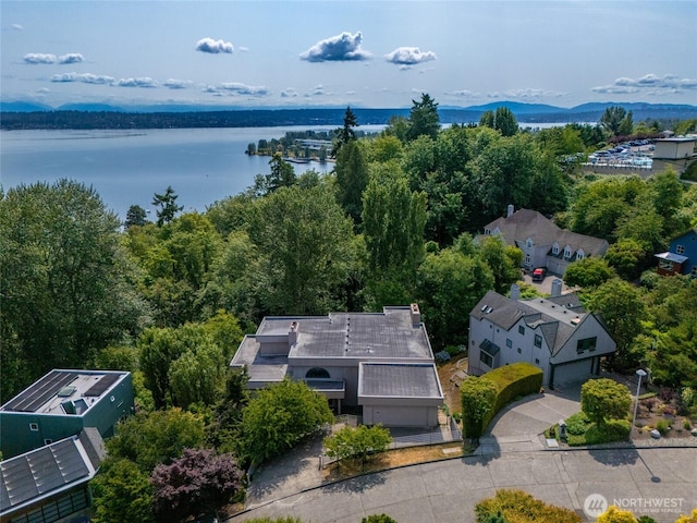 8508 54th Ave NE, Seattle, WA 98115 - photo 38