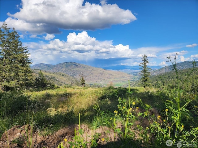 350TBD Toats Coulee Rd, Loomis, WA 98827 - photo 1