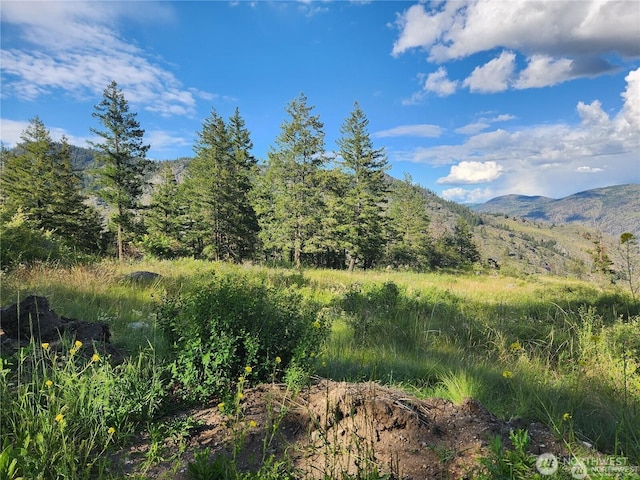 350TBD Toats Coulee Rd, Loomis, WA 98827 - photo 2