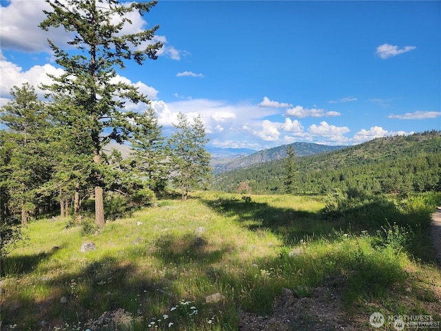 350TBD Toats Coulee Rd, Loomis, WA 98827 - photo 3