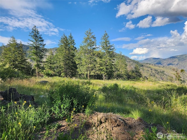350TBD Toats Coulee Rd, Loomis, WA 98827 - photo 4