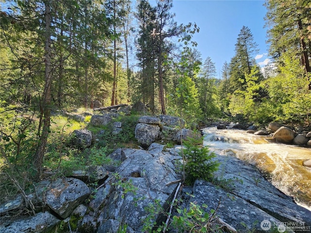 350TBD Toats Coulee Rd, Loomis, WA 98827 - photo 9