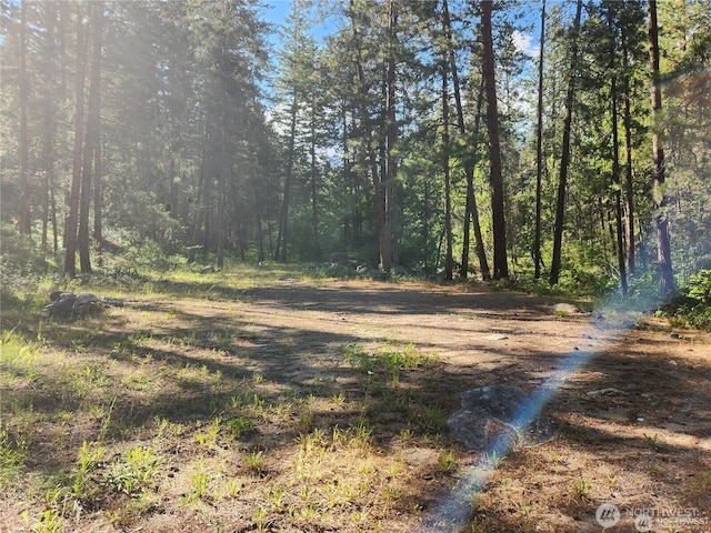 350TBD Toats Coulee Rd, Loomis, WA 98827 - photo 11