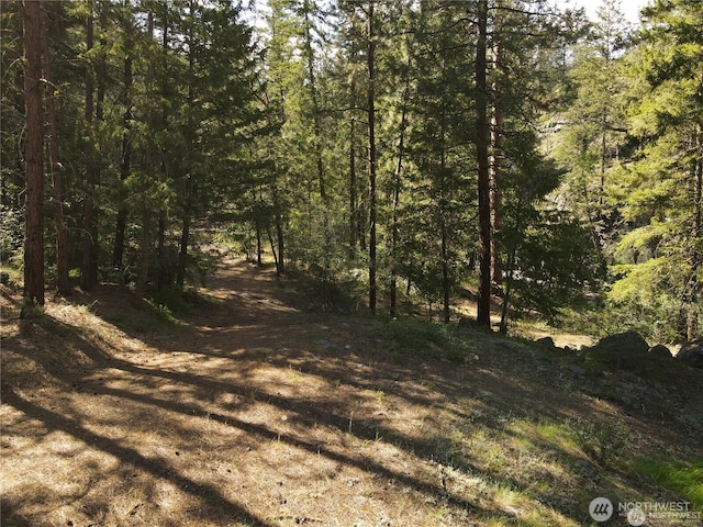 350TBD Toats Coulee Rd, Loomis, WA 98827 - photo 14