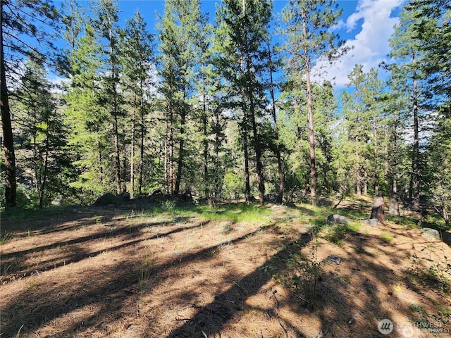 350TBD Toats Coulee Rd, Loomis, WA 98827 - photo 15