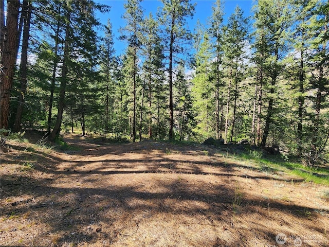 350TBD Toats Coulee Rd, Loomis, WA 98827 - photo 16
