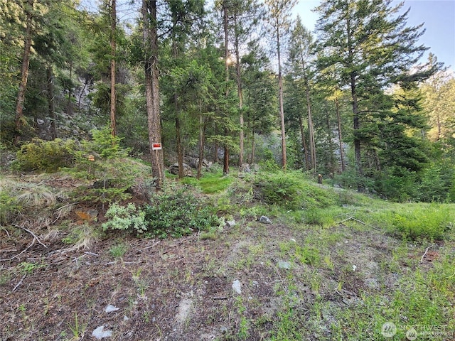 350TBD Toats Coulee Rd, Loomis, WA 98827 - photo 19