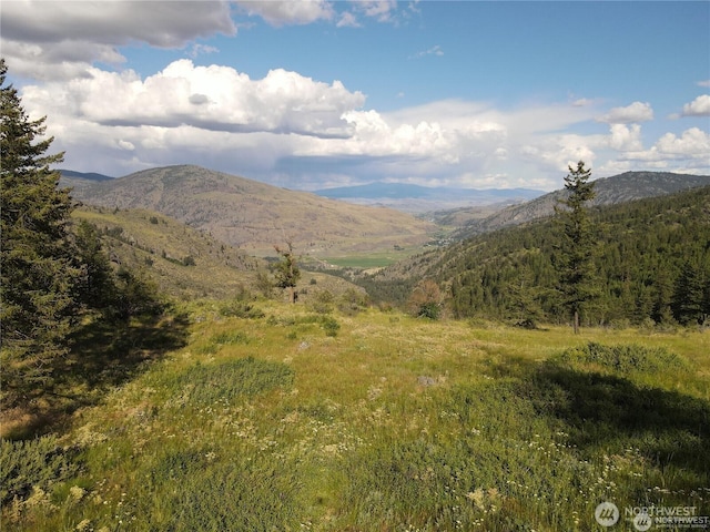 350TBD Toats Coulee Rd, Loomis, WA 98827 - photo 20