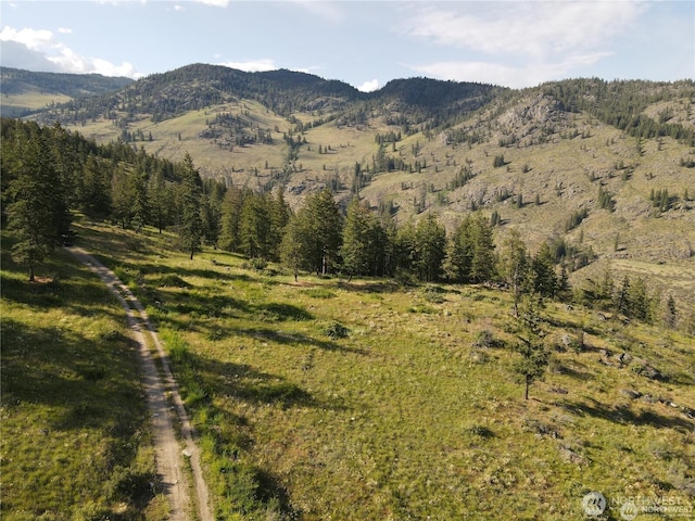 350TBD Toats Coulee Rd, Loomis, WA 98827 - photo 22