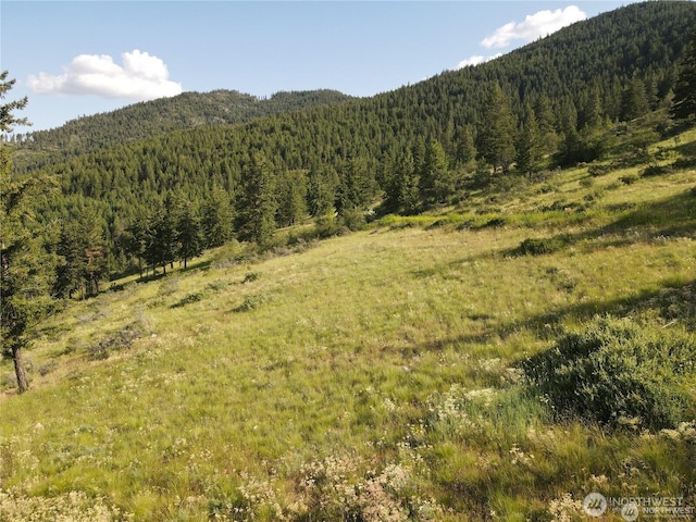 350TBD Toats Coulee Rd, Loomis, WA 98827 - photo 23