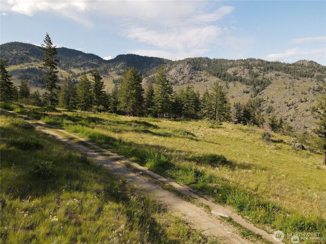 350TBD Toats Coulee Rd, Loomis, WA 98827 - photo 24