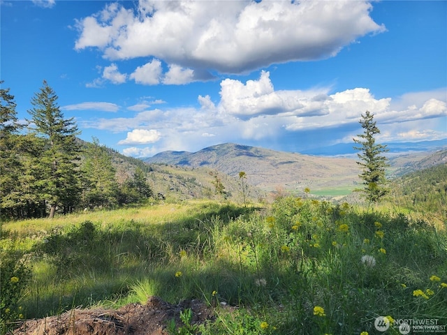 350TBD Toats Coulee Rd, Loomis, WA 98827 - photo 25