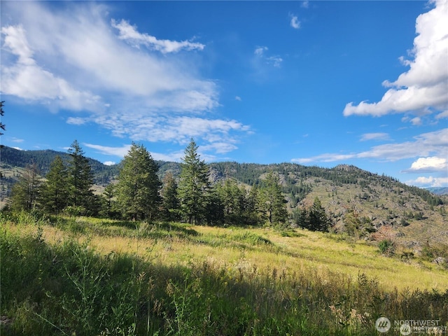 350TBD Toats Coulee Rd, Loomis, WA 98827 - photo 26