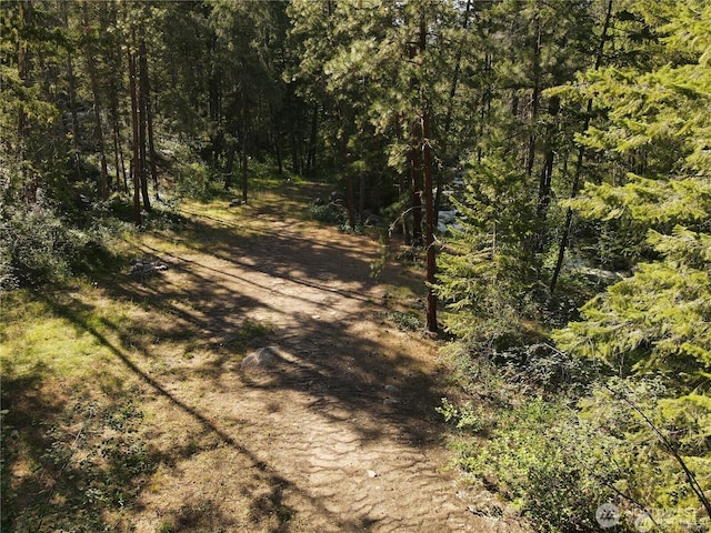350TBD Toats Coulee Rd, Loomis, WA 98827 - photo 27