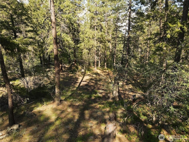 350TBD Toats Coulee Rd, Loomis, WA 98827 - photo 28