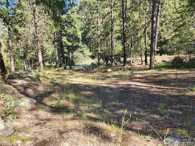 350TBD Toats Coulee Rd, Loomis, WA 98827 - photo 29