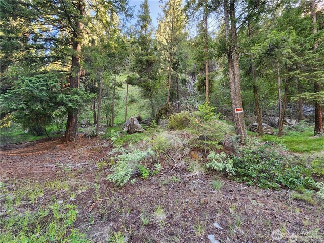 350TBD Toats Coulee Rd, Loomis, WA 98827 - photo 31