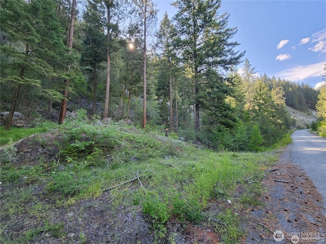 350TBD Toats Coulee Rd, Loomis, WA 98827 - photo 32