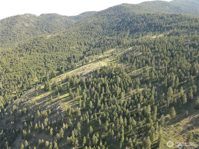 350TBD Toats Coulee Rd, Loomis, WA 98827 - photo 33