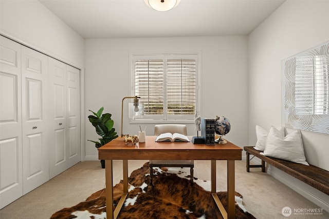 1206 S 36th Pl, Renton, WA 98055 - home office featuring light carpet and baseboards