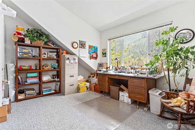 9204 Silver Lake Rd, Maple Falls, WA 98266 - office featuring lofted ceiling