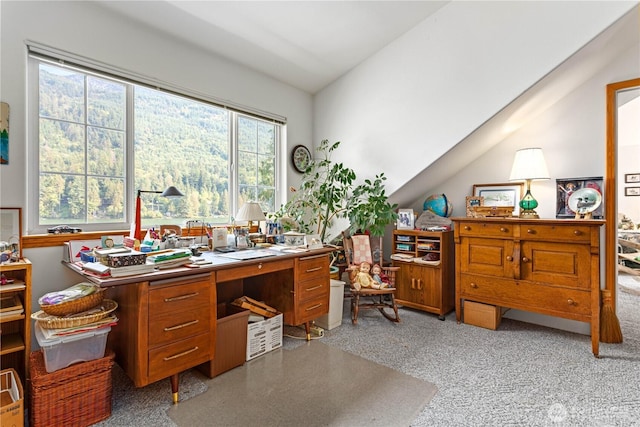 9204 Silver Lake Rd, Maple Falls, WA 98266 - office space with light carpet and vaulted ceiling