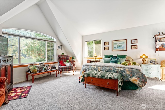 9204 Silver Lake Rd, Maple Falls, WA 98266 - carpeted bedroom featuring lofted ceiling