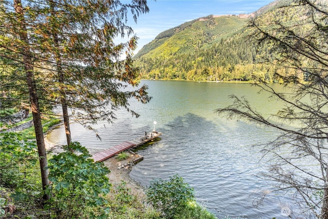 9204 Silver Lake Rd, Maple Falls, WA 98266 - water view with mountains and a dock
