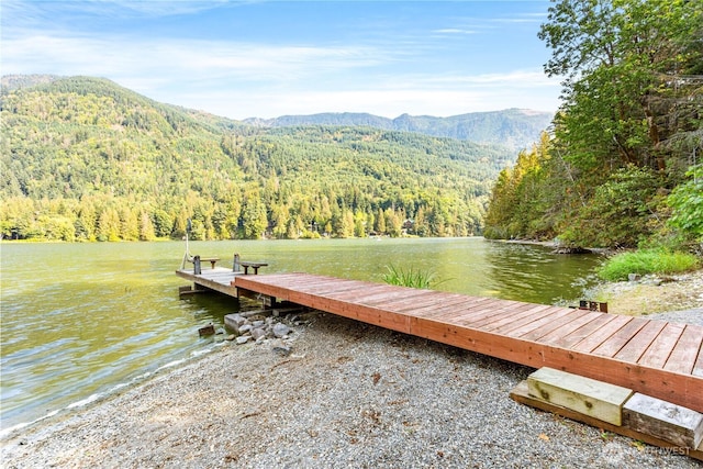 9204 Silver Lake Rd, Maple Falls, WA 98266 - dock with a forest view and a water and mountain view