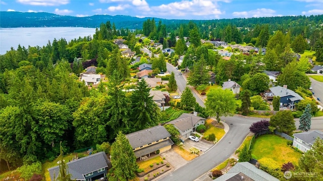 18513 NE 19th Pl, Bellevue, WA 98008 - photo 5