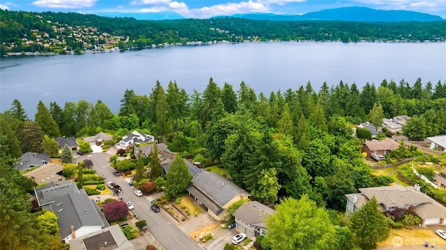 18513 NE 19th Pl, Bellevue, WA 98008 - photo 6