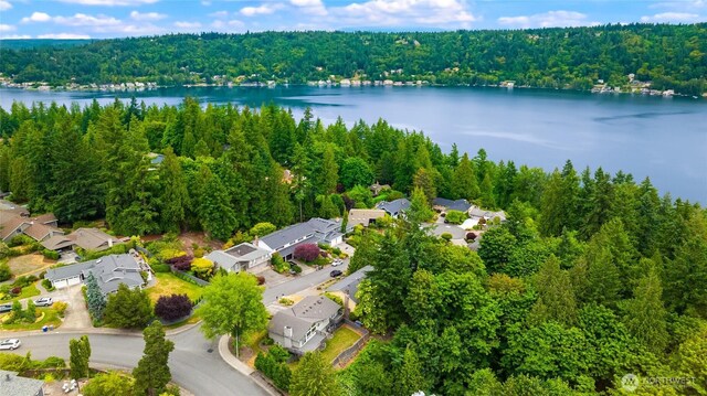 18513 NE 19th Pl, Bellevue, WA 98008 - photo 9