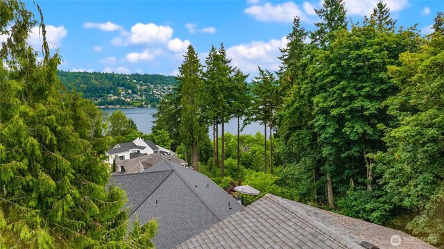 18513 NE 19th Pl, Bellevue, WA 98008 - photo 11