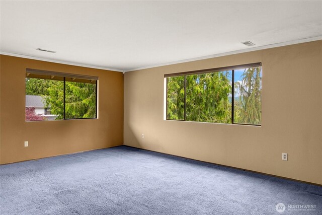 18513 NE 19th Pl, Bellevue, WA 98008 - photo 25