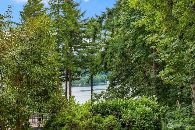 18513 NE 19th Pl, Bellevue, WA 98008 - photo 13